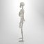Advanced Skeleton