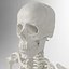 Advanced Skeleton