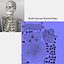 Advanced Skeleton