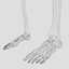 Advanced Skeleton