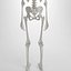 Advanced Skeleton