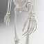 Advanced Skeleton