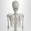 Advanced Skeleton