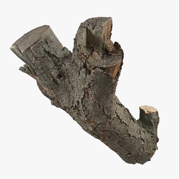 bark_08_sig.jpg