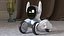 Collezione di cani robot 3