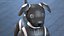 Collezione di cani robot 3