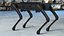 Collezione di cani robot 3