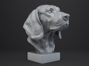 3D Beagle Dog Bust model