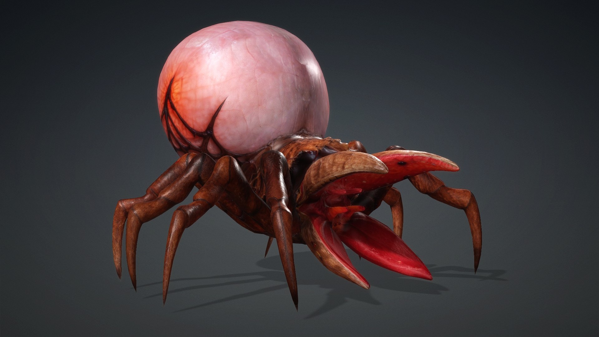 3D model Spider Monster-V1a https://p.turbosquid.com/ts-thumb/Wx/bzmHUK/1S/preview1/jpg/1776221335/1920x1080/fit_q87/0485d001f32be37efc74d1d0e5a5297a7f6b1709/preview1.jpg