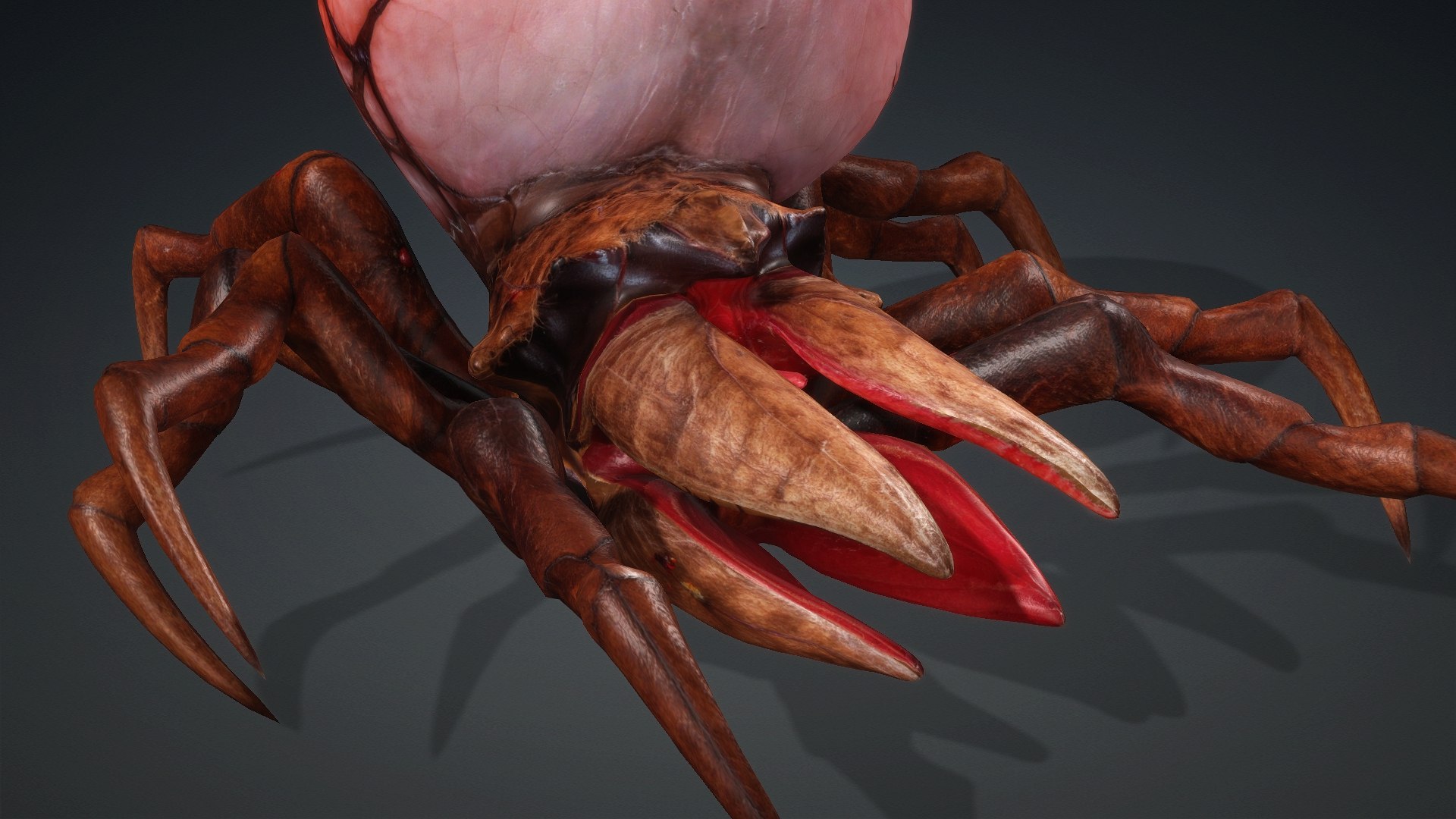 3D model Spider Monster-V1a https://p.turbosquid.com/ts-thumb/Wx/bzmHUK/7A/preview9/jpg/1776221340/1920x1080/fit_q87/008ea177f59af648f48a70c6921becef0b3b8051/preview9.jpg
