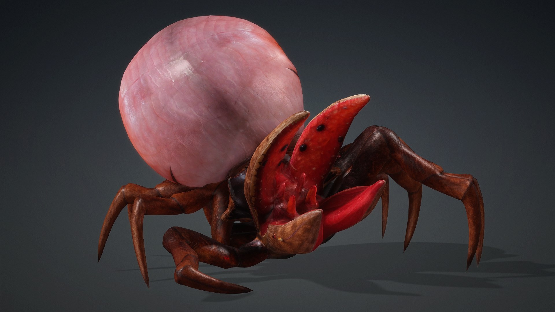 3D model Spider Monster-V1a https://p.turbosquid.com/ts-thumb/Wx/bzmHUK/7v/preview11/jpg/1776221341/1920x1080/fit_q87/2f5ed80623412b1f19102f967780d3ecad13815e/preview11.jpg