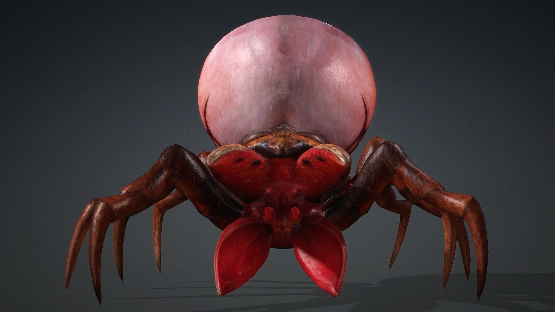 3D model Spider Monster-V1a https://p.turbosquid.com/ts-thumb/Wx/bzmHUK/95/preview4/jpg/1776221337/1920x1080/fit_q87/3b56e765136ea7984dce5d30b61060be7ce0f0b8/preview4.jpg