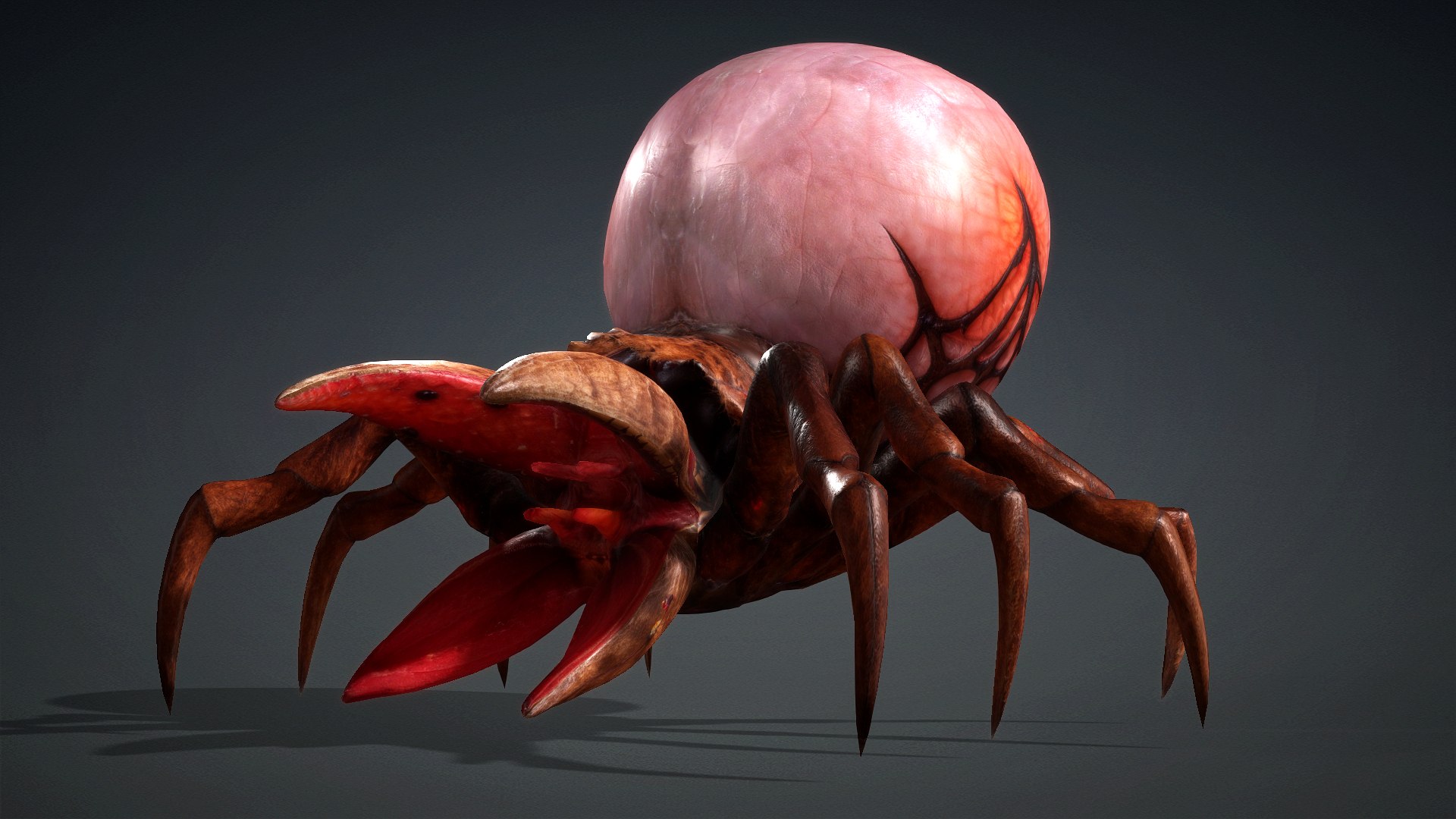 3D model Spider Monster-V1a https://p.turbosquid.com/ts-thumb/Wx/bzmHUK/Jn/preview0/jpg/1776221335/1920x1080/fit_q87/58eaf83ae318e91a110cc66de45efb4458cc7ef7/preview0.jpg