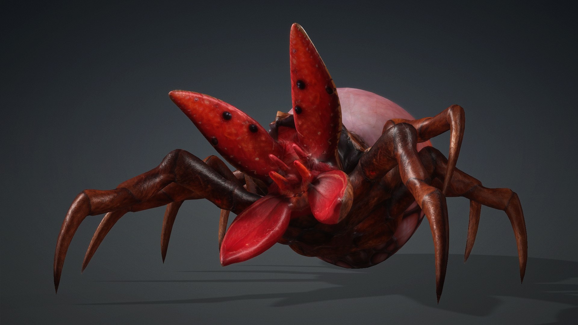 3D model Spider Monster-V1a https://p.turbosquid.com/ts-thumb/Wx/bzmHUK/Q7/preview8/jpg/1776221340/1920x1080/fit_q87/6a8190998fd38545c80f5371d2bad5be50b204e0/preview8.jpg