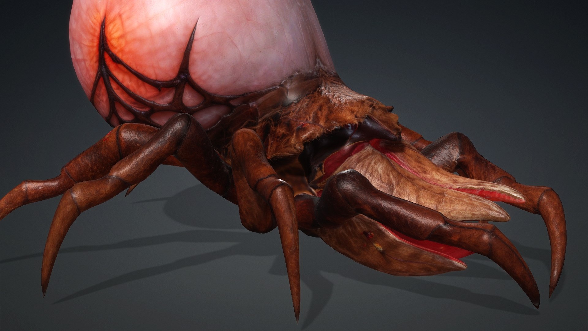 3D model Spider Monster-V1a https://p.turbosquid.com/ts-thumb/Wx/bzmHUK/T0/preview7/jpg/1776221338/1920x1080/fit_q87/7e2b1e94930279cc1c6559aa391400006090af35/preview7.jpg