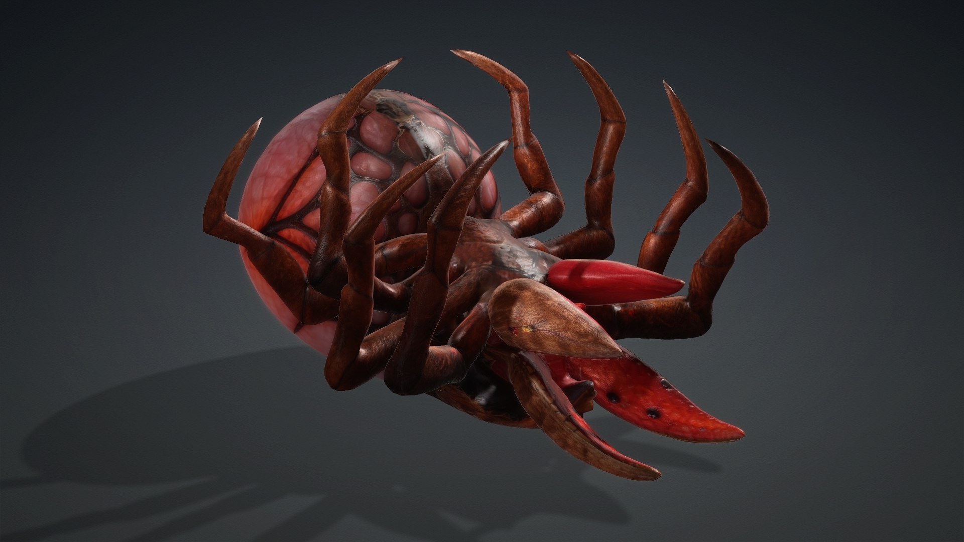 3D model Spider Monster-V1a https://p.turbosquid.com/ts-thumb/Wx/bzmHUK/bu/preview13/jpg/1776221342/1920x1080/fit_q87/af0fec891927b1f47bcc24826f77977323996f8d/preview13.jpg