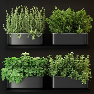 plants model