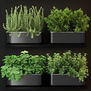 Plants collection 262