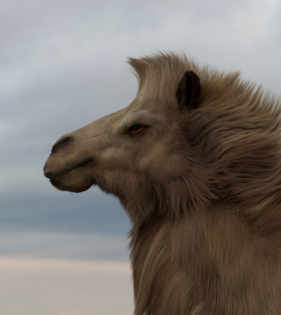 3D Camel Bactrian https://p.turbosquid.com/ts-thumb/Wx/ie5ugb/5Q/camel_5/jpg/1730241310/1920x1080/fit_q87/cee2e0b2276460df0b763ef53beebf1acda3fb03/camel_5.jpg
