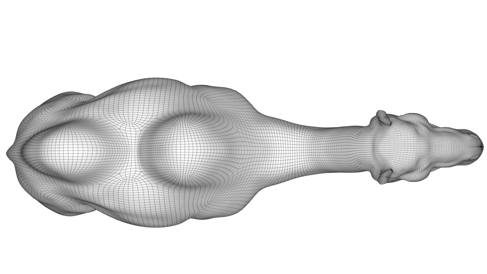 3D Camel Bactrian https://p.turbosquid.com/ts-thumb/Wx/ie5ugb/EQ/wireframes_002/jpg/1730241323/1920x1080/fit_q87/6243beb3d42ae492788fc0f22a04ca3daab74727/wireframes_002.jpg