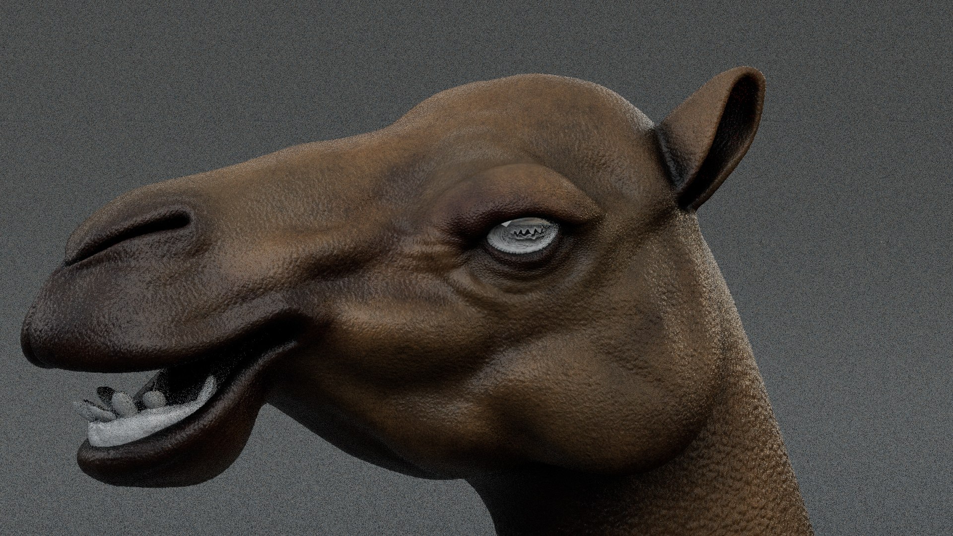 3D Camel Bactrian https://p.turbosquid.com/ts-thumb/Wx/ie5ugb/Ra/test_2/jpg/1730241316/1920x1080/fit_q87/a89ca176a7472c2099de851721516bc08119d42f/test_2.jpg
