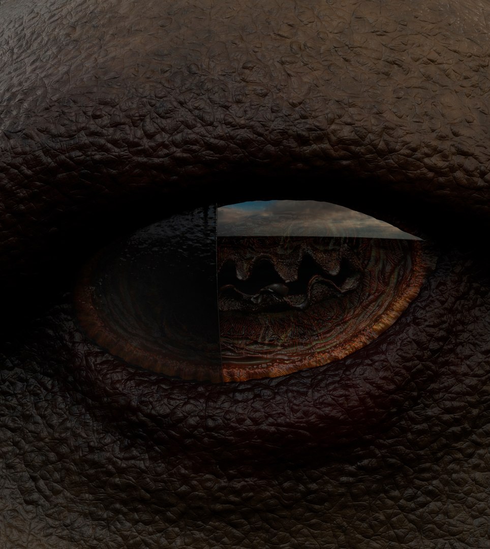 3D Camel Bactrian https://p.turbosquid.com/ts-thumb/Wx/ie5ugb/lr/camel_6/jpg/1730241312/1920x1080/fit_q87/34878c2eb715ac5cfae8fd943031e4f71428855c/camel_6.jpg
