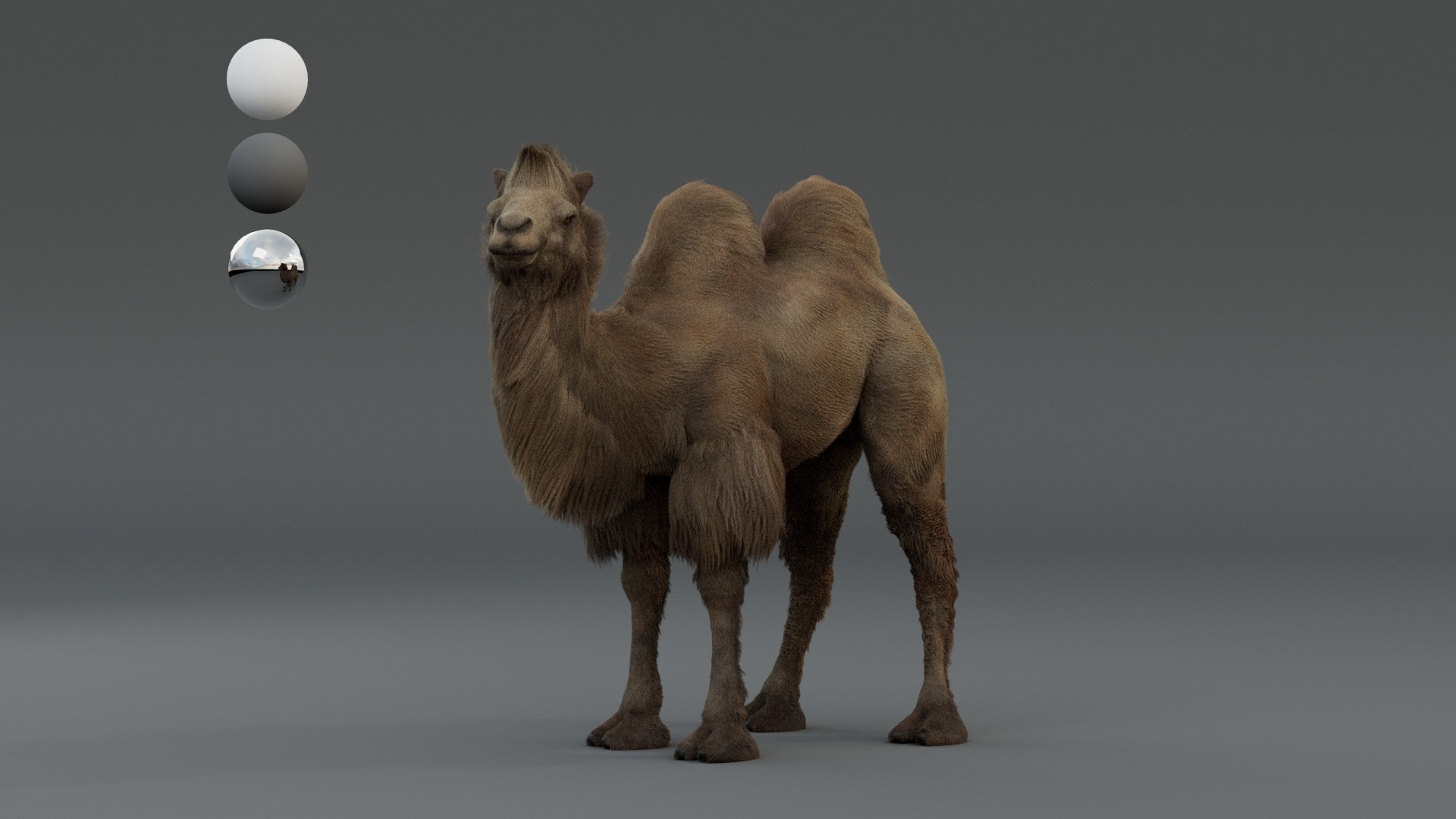 3D Camel Bactrian https://p.turbosquid.com/ts-thumb/Wx/ie5ugb/rQ/frant/jpg/1730241315/1920x1080/fit_q87/dfae555460cc13dfe6bde495e88b86ecf924e302/frant.jpg
