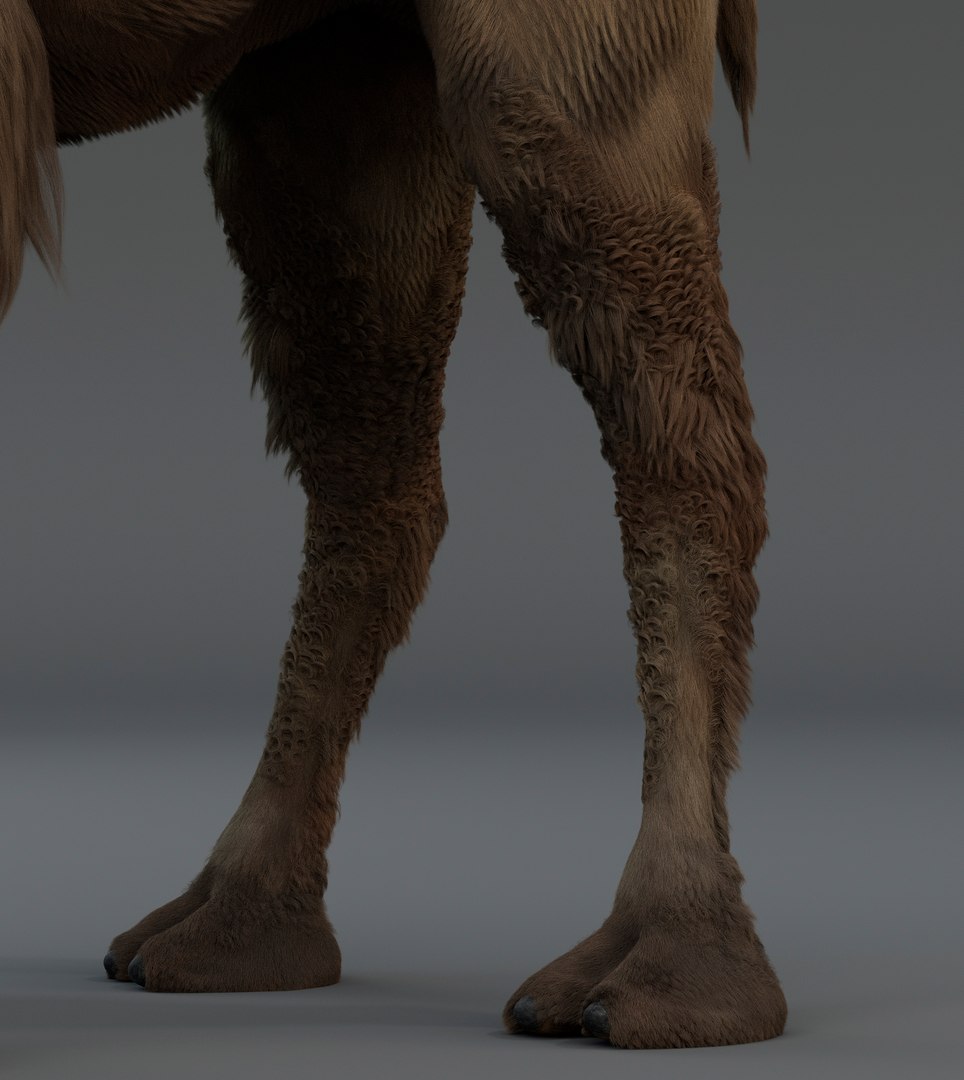 3D Camel Bactrian https://p.turbosquid.com/ts-thumb/Wx/ie5ugb/tz/camel_3/jpg/1730241308/1920x1080/fit_q87/56603f066477c538044177659c04cdbd8a41a95b/camel_3.jpg