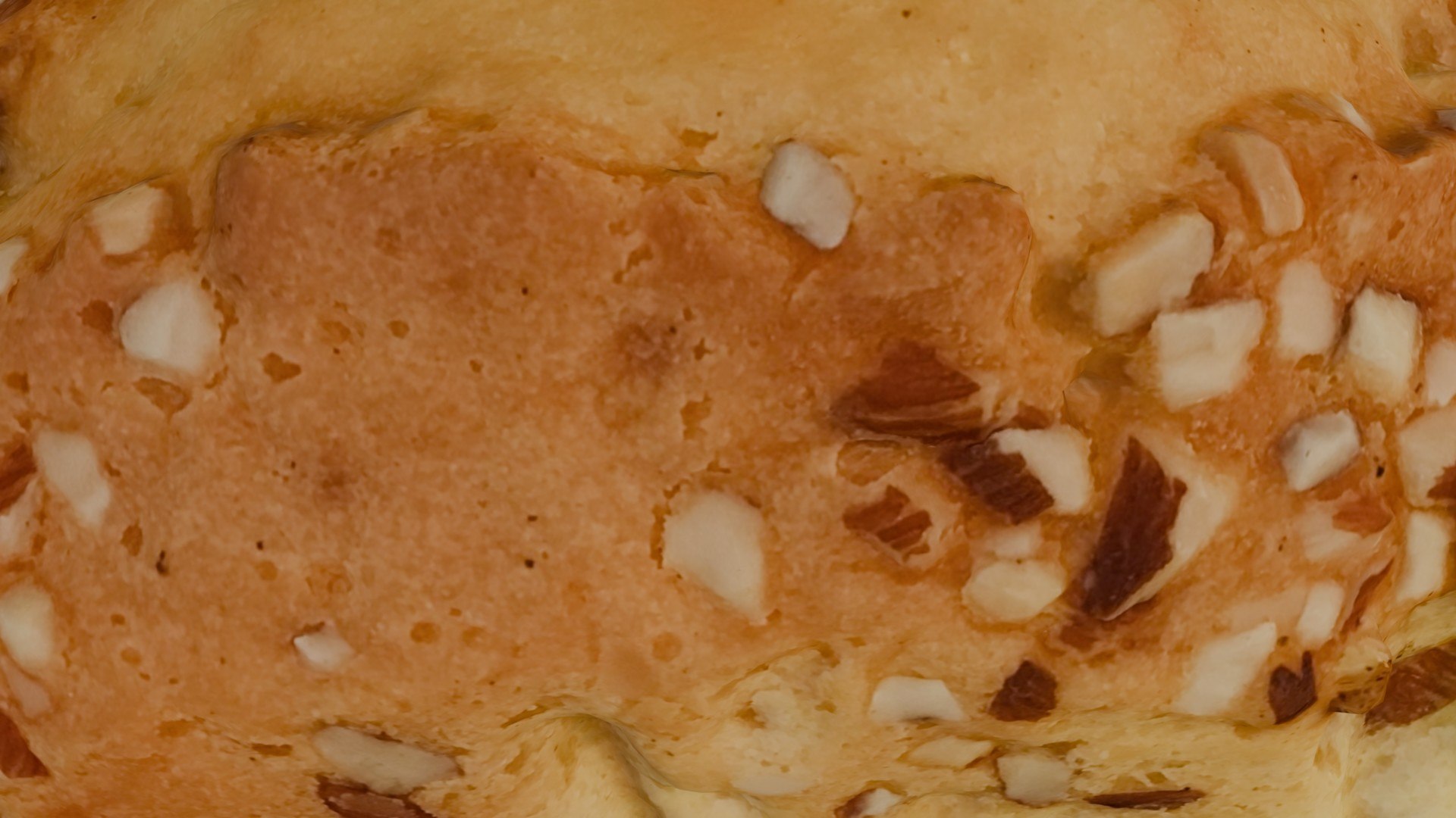 Almond Bread Loaf Scan model https://p.turbosquid.com/ts-thumb/Wx/iez0Mj/IL/3/jpg/1747456306/1920x1080/fit_q87/46337adbd00df2bfdedf141fc03a1de4adac0126/3.jpg