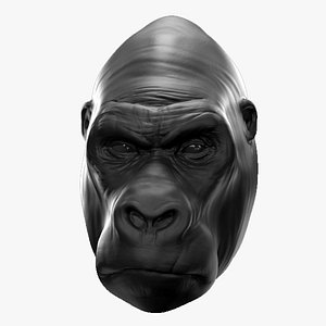 Gorilla Head