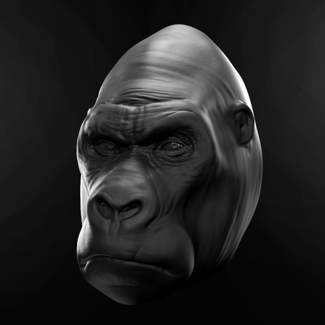 Maya Gorilla Face Zbrush