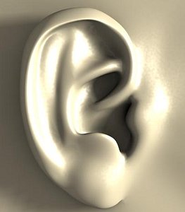 Ear