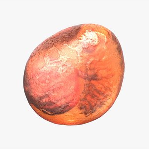 Larva Fetus in Egg with Placenta