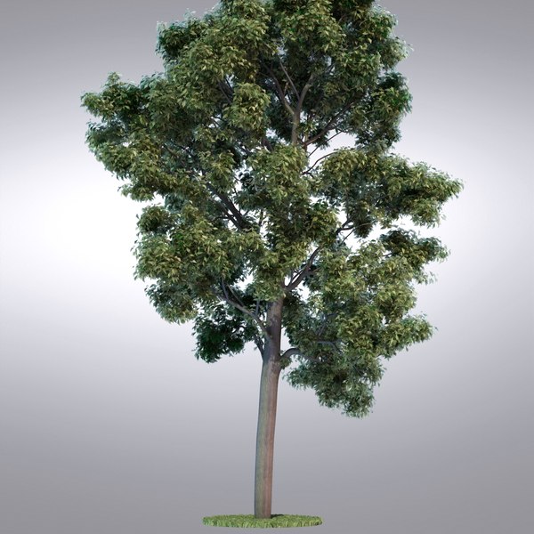 max hi realistic series tree