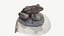Svetlogorsk frogs