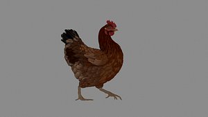 Chicken 3D
