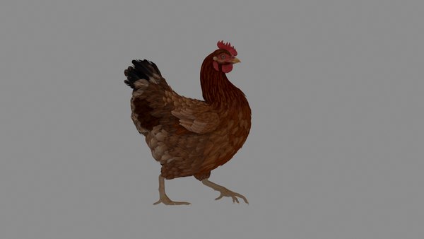modelo 3d Pollo - TurboSquid 1981697