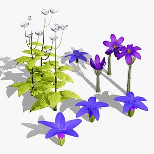 British Wildflowers 3D Models 3D model