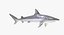 Rigged Sharks Collection 7 for Cinema 4D