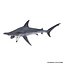 Rigged Sharks Collection 7 for Cinema 4D