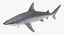 Rigged Sharks Collection 7 for Cinema 4D