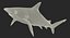 Rigged Sharks Collection 7 for Cinema 4D