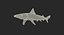 Rigged Sharks Collection 7 for Cinema 4D