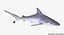 Rigged Sharks Collection 7 for Cinema 4D