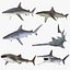 Rigged Sharks Collection 7 for Cinema 4D