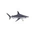 Rigged Sharks Collection 7 for Cinema 4D