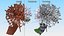 3D Flowering Plants Collection 11