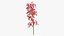 3D Flowering Plants Collection 11