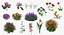 3D Flowering Plants Collection 11