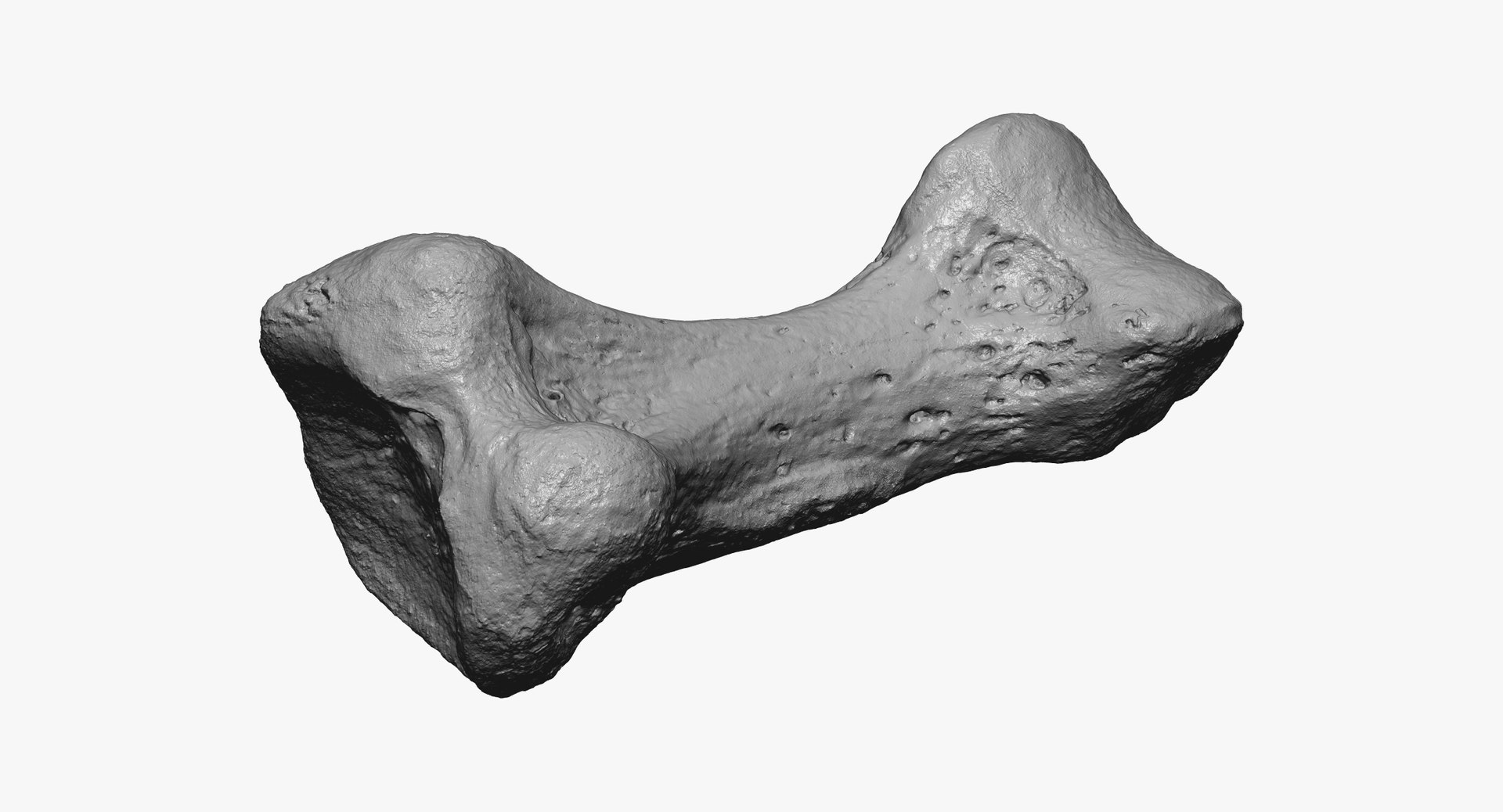 proximal phalanx bone little 3D model https://p.turbosquid.com/ts-thumb/Wy/WIO4kk/ya50DFgI/proximal_phalanx_bone_of_little_toe_01_thumbnail_02/jpg/1587039922/1920x1080/fit_q87/1571b447426441dea0f4b5a73c242c8eceef7b73/proximal_phalanx_bone_of_little_toe_01_thumbnail_02.jpg